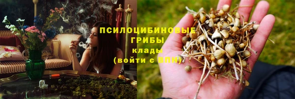 сатива Алзамай