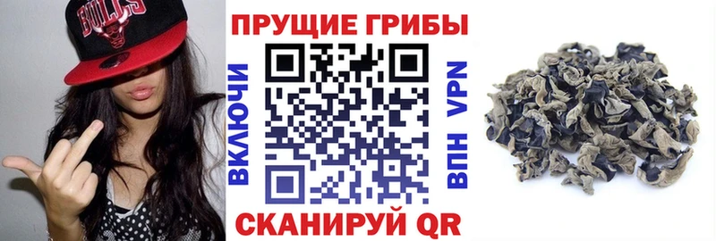 даркнет сайт  Красноуфимск  гидра вход  Галлюциногенные грибы мицелий 