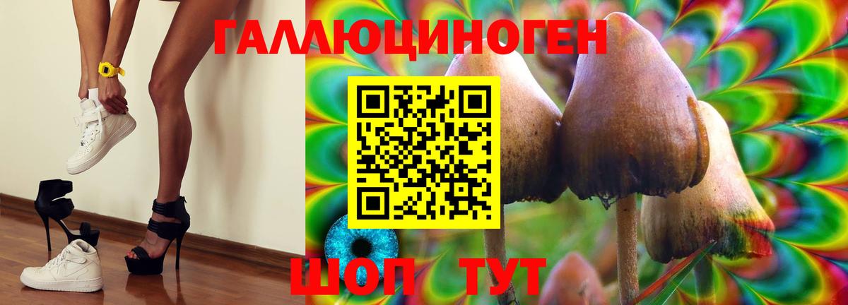 Псилоцибиновые грибы Cubensis  Вход с VPN  Красноуфимск 